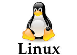 LINUX